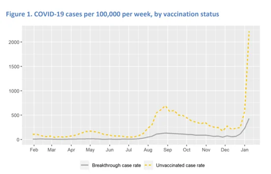 Line graph showing COVID-19 case rates per 100,000 per week from February to January. Unvaccinated rates (yellow dashed line) are consistently higher than breakthrough case rates (gray line), with a sharp rise in January.